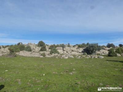 Comida Navidad - Los 13 Roeles; pico moncayo foro montaña tierra de pinares berrea del ciervo la sui